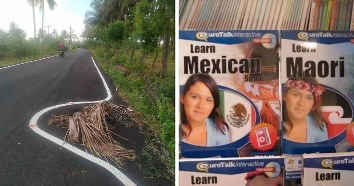 “Not My Job”: 80 Funny Times It Looked Like People Didn’t Even Try (Best Of All Time)