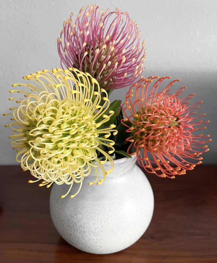 I Grew The Flowers And My Wife Made The Vase. For Those Who Are Wondering, These Are The Pincushions "High Gold", "Don's Red", And "Flame Giant"