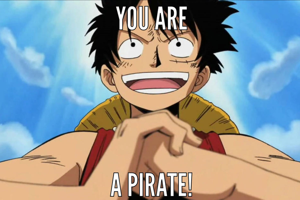 30 One Piece Memes Only True Fans Will Understand | Bored Panda