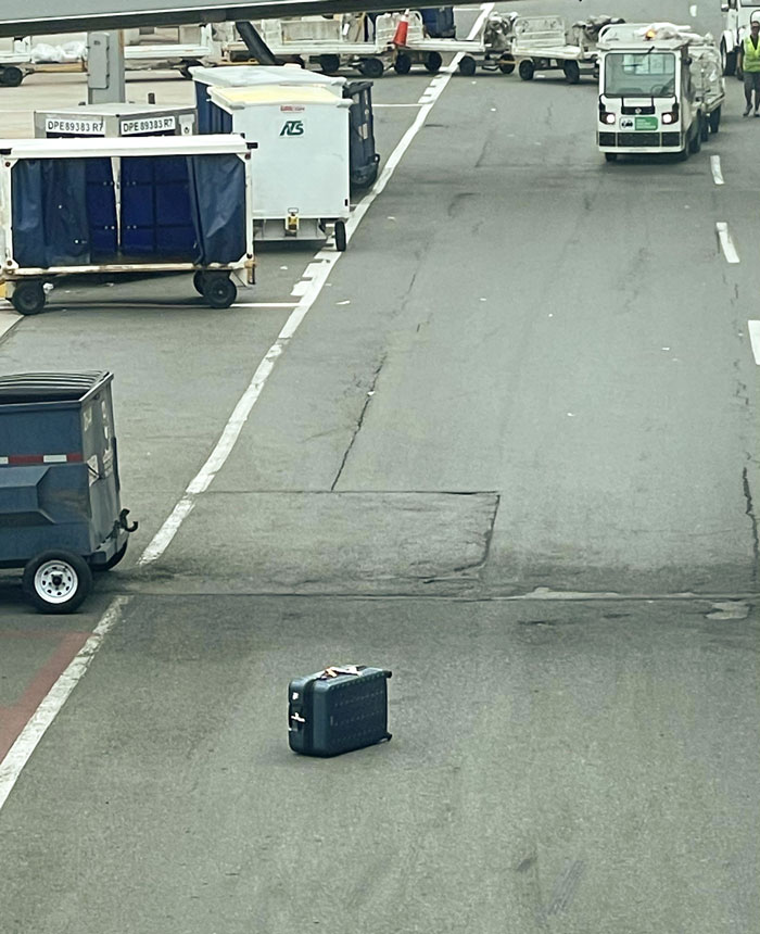 Someone’s Lost Bag At The Toronto Airport. I Lost Count Of How Many Vehicles Have Driven Around It Since I Sat Down For Lunch