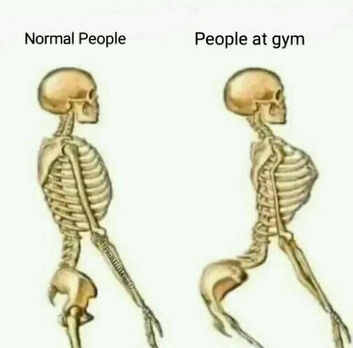 Gym-Memes-Fail-Nation