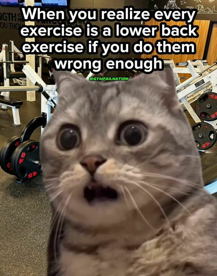 Gym-Memes-Fail-Nation