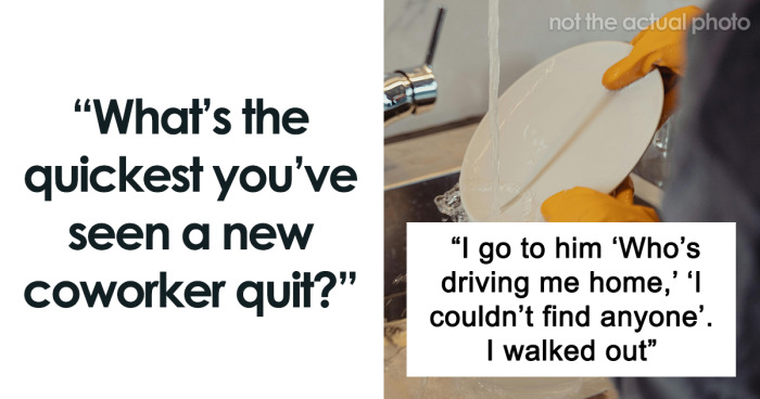 “Before Lunch The First Day”: 63 People Recall The Fastest They’ve Ever Seen A Coworker Quit