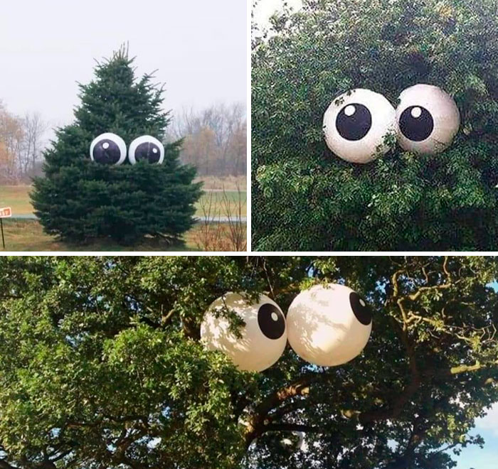 Step 1 Get Giant Beach Balls Step 2 Paint Eyes On Them Step 3 Place In Tree Facing Neighbors House