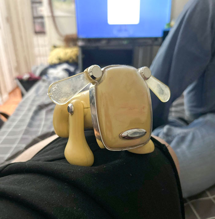 IDog From My Childhood Yellowed From Cigarette Smoke