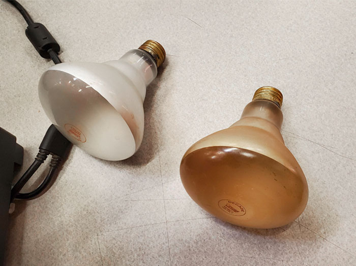 The Light Bulb In A Smoking Room vs. A Non-Smoking Room