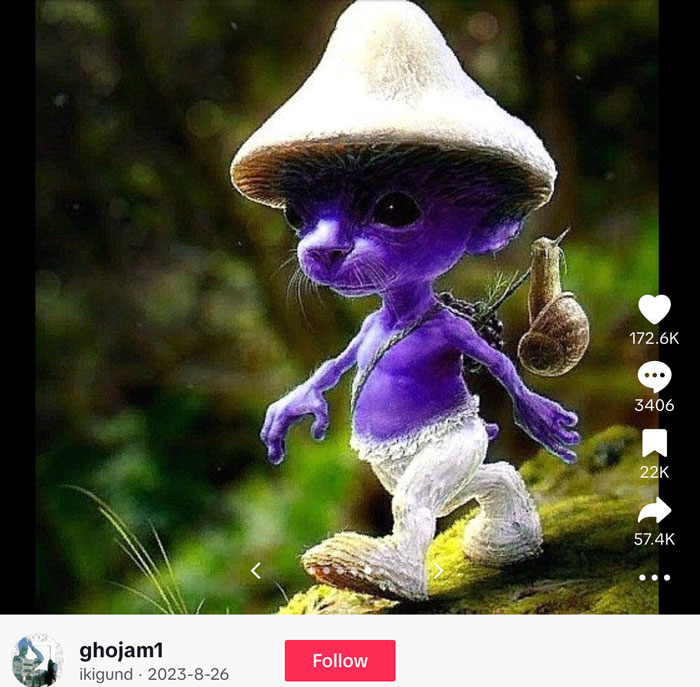 Smurf Cat: Why Is Everyone on TikTok Obsessing Over It?