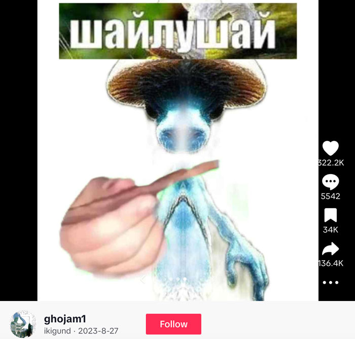 A popular TikTok post by user ghojam1 featuring a distorted image of a Smurf Cat with a mushroom cap hat, edited with a hand holding a stick.