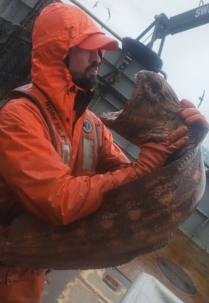 This Fisherman With A Deep Sea Wolf Eel