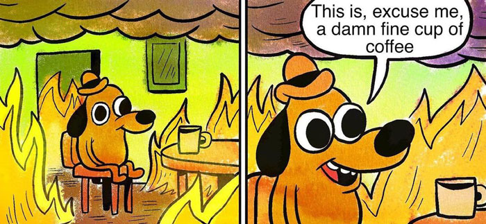 A two-panel cartoon image featuring the "This is Fine" dog. The first panel shows the dog calmly sitting in a burning room with a coffee mug on the table. In the second panel, the dog, still surrounded by flames, says, "This is, excuse me, a damn fine cup of coffee." The meme humorously highlights the dog's focus on enjoying the coffee despite the chaotic and fiery surroundings.