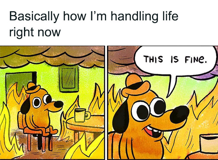 A two-panel cartoon image featuring a dog calmly sitting in a burning room with a cup of coffee on the table. The first panel shows the dog surrounded by flames with a caption above reading, "Basically how I’m handling life right now." In the second panel, the dog, still surrounded by flames, says, "This is fine." The comic is part of the iconic "This is Fine" meme, symbolizing staying composed in chaotic situations.