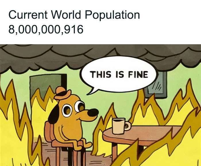 A cartoon image featuring the "This is Fine" dog sitting calmly at a table in a burning room with a coffee mug. The caption above reads, "Current World Population 8,000,000,916." The dog, surrounded by flames, says, "This is fine." The meme humorously comments on the state of the world and population growth, emphasizing a sense of calm amidst chaos.