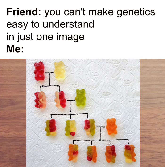 Gummy bears arranged in a family tree to explain genetics under text discussing making genetics easy to understand