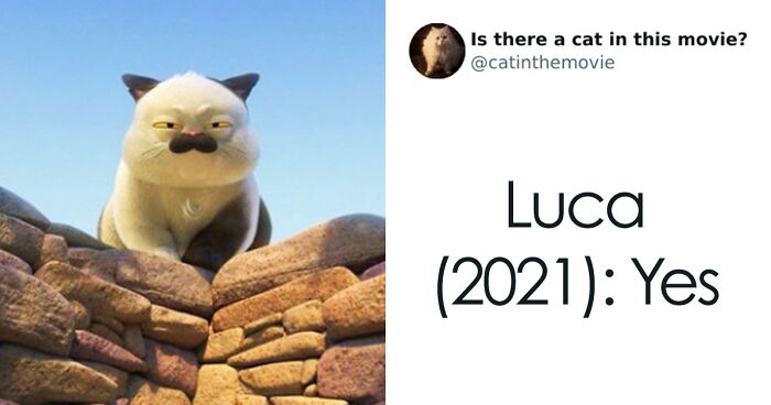 30 Times Cats Were Spotted In A Movie, Uncovered By This Account (New Pics)