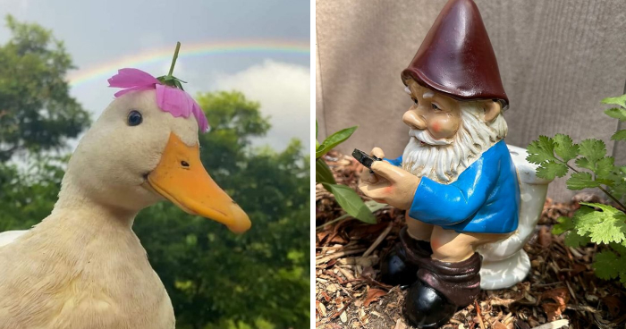 Forget Boring Backyards: 19 Unique Garden Items That Will Make Yours a Standout