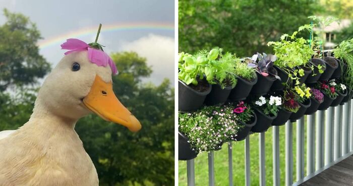 The Ultimate Garden Envy List: 19 Unique Products You Need to Get Your Hands On