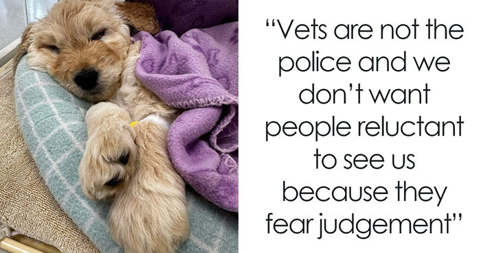 Vet Applauded For Response After Owner Brings In Seven-Week-Old Puppy To Be Put Down