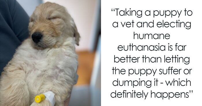 Vet Refuses To Put Down “One Of The Most Beautiful Puppies” Over Birth Defect And Gives Him A Home