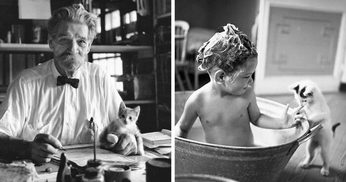 73 Old Photos Of Cats Posing Together With Interesting Personalities As Collected By This Brazilian Journalist (New Pics)