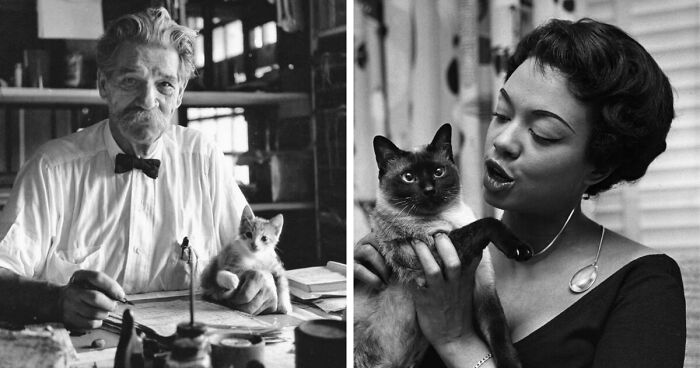 73 Vintage Photos Of Cats Showcasing Their Timeless Charm, Collected By This Journalist (New Pics)