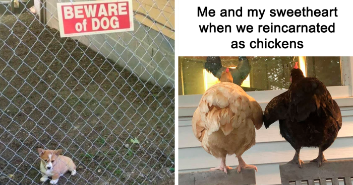 ‘Blessed Content’: 55 Wholesome Images To Warm Your Heart