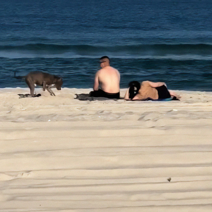 “I’m His Nine-Months-Pregnant Wife”: Woman Confronts Husband And Mistress At The Beach