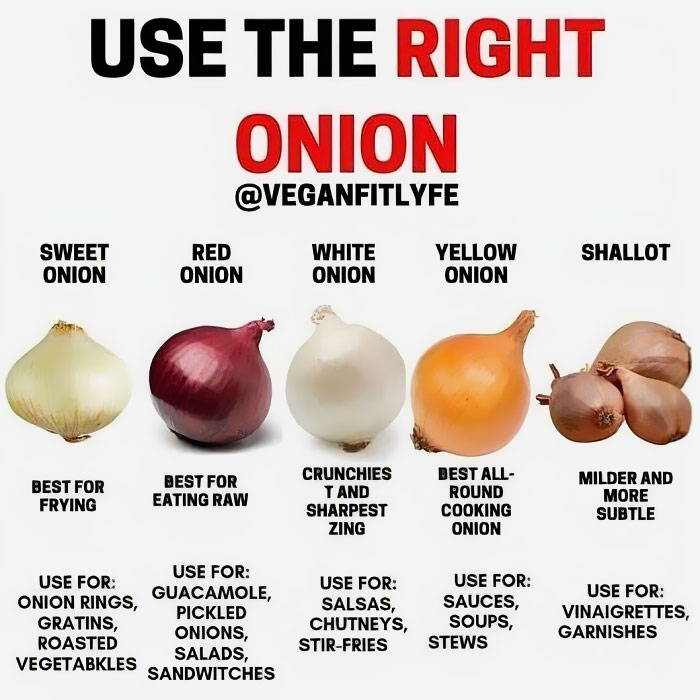 Onion Use Guide