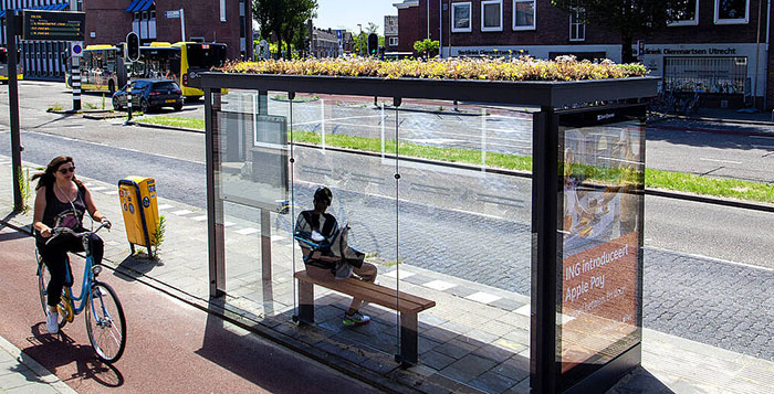 People Online Are Amazed By Dutch City That Recently Installed Over 300 Green-Roofed Bus Stops