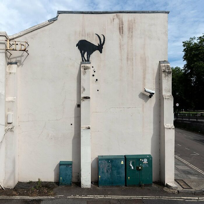 Banksy's "London Zoo": Nine New Graffiti Pieces Roar To Life In The Streets Of London