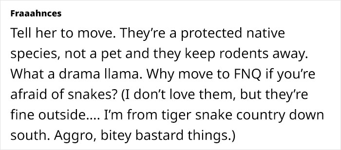 Python Lives Peacefully Under Woman’s House for Years, Neighbor Suddenly Insists on Removing It