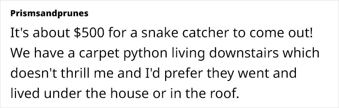 Python Lives Peacefully Under Woman’s House for Years, Neighbor Suddenly Insists on Removing It