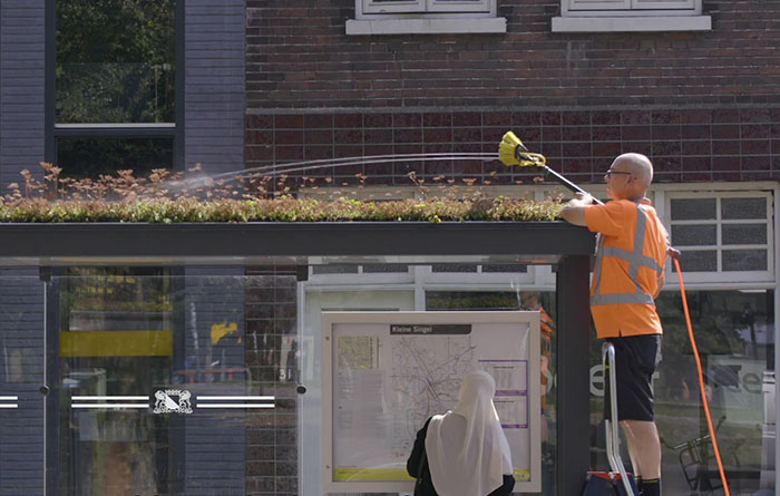 People Online Are Amazed By Dutch City That Recently Installed Over 300 Green-Roofed Bus Stops