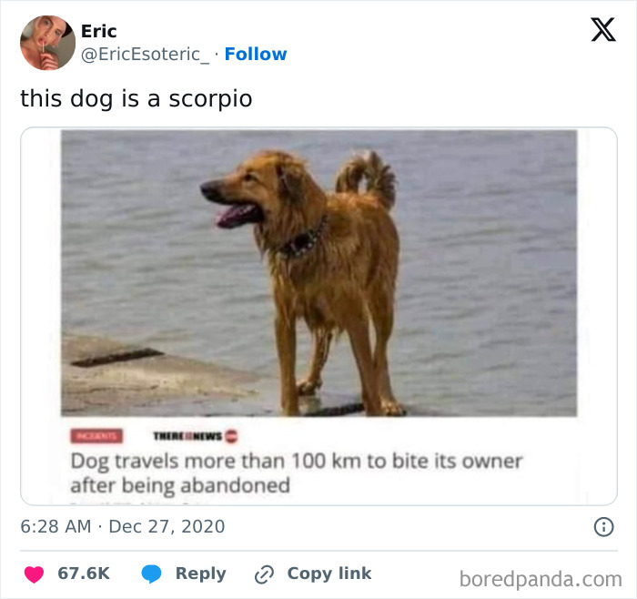 Funny-Tweets-About-Dogs