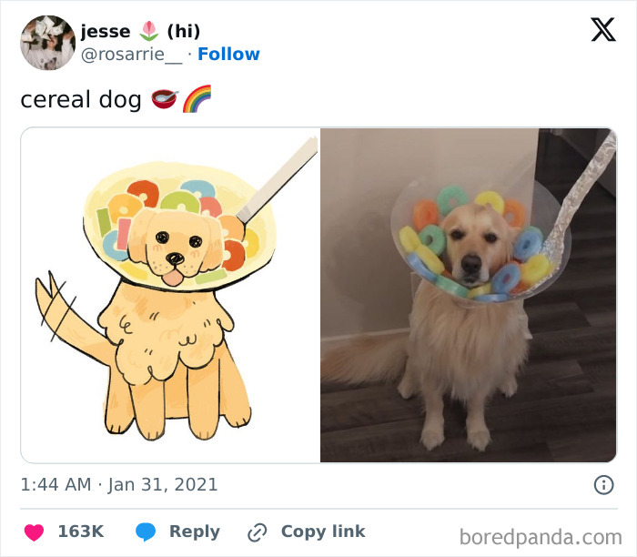 Funny-Tweets-About-Dogs