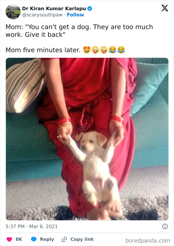 Funny-Tweets-About-Dogs