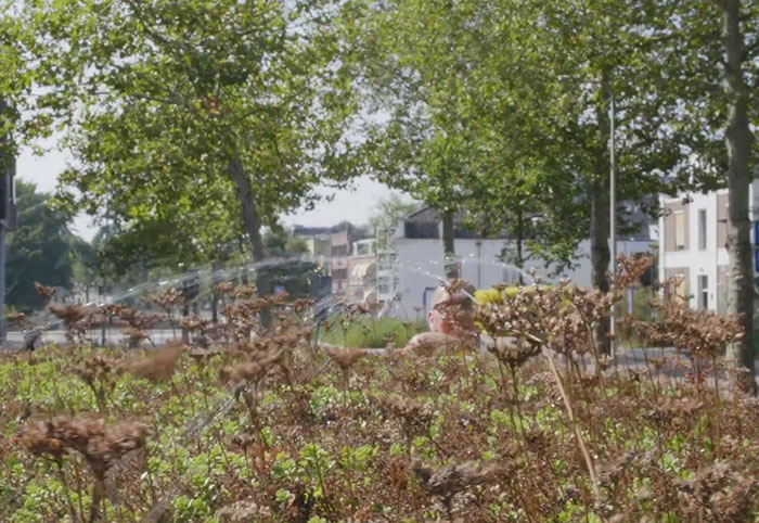 People Online Are Amazed By Dutch City That Recently Installed Over 300 Green-Roofed Bus Stops