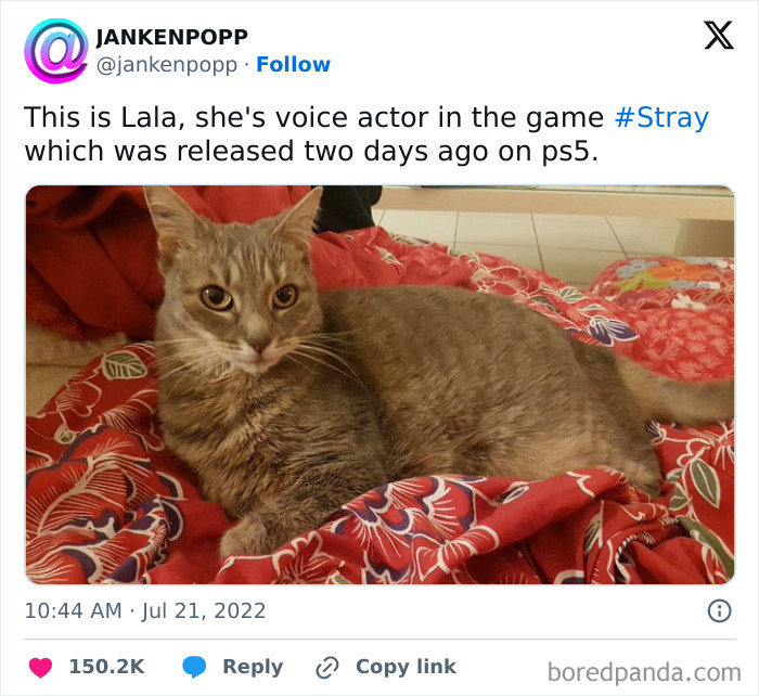 Lala The Voice Actor