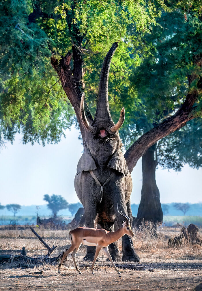 Nature Respect By Monica L Corcuera