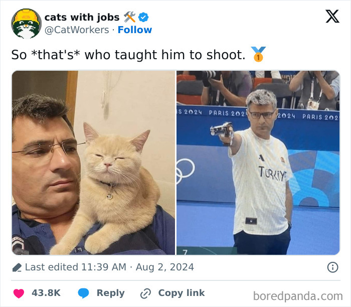 Cat With A Job