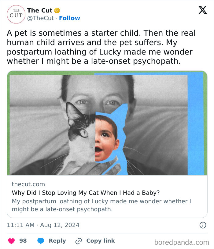 “Psychopath” Mom Exposes Her Own Neglect Towards Her Cat In A Viral Op-Ed, Sparks Outrage