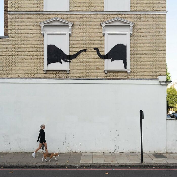 Banksy's "London Zoo": Nine New Graffiti Pieces Roar To Life In The Streets Of London