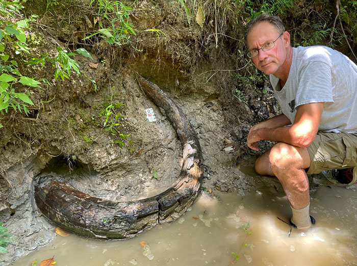 Man Goes Viral Online After His Exploration Walk Turns Into A Massive Mammoth Tusk Discovery