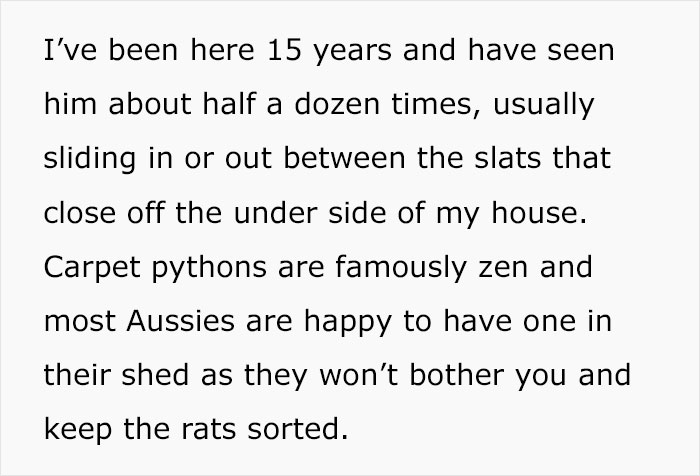 Python Lives Peacefully Under Woman’s House for Years, Neighbor Suddenly Insists on Removing It