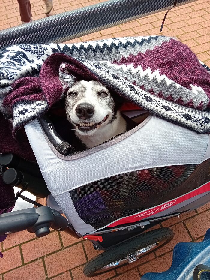 Popp Is Getting Happier Using Her Pushchair