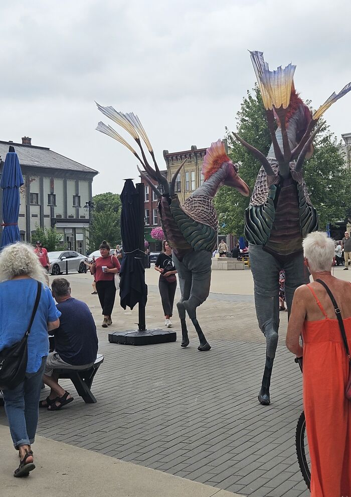 These Crazy Dinos Were Wandering Around The Town Square!