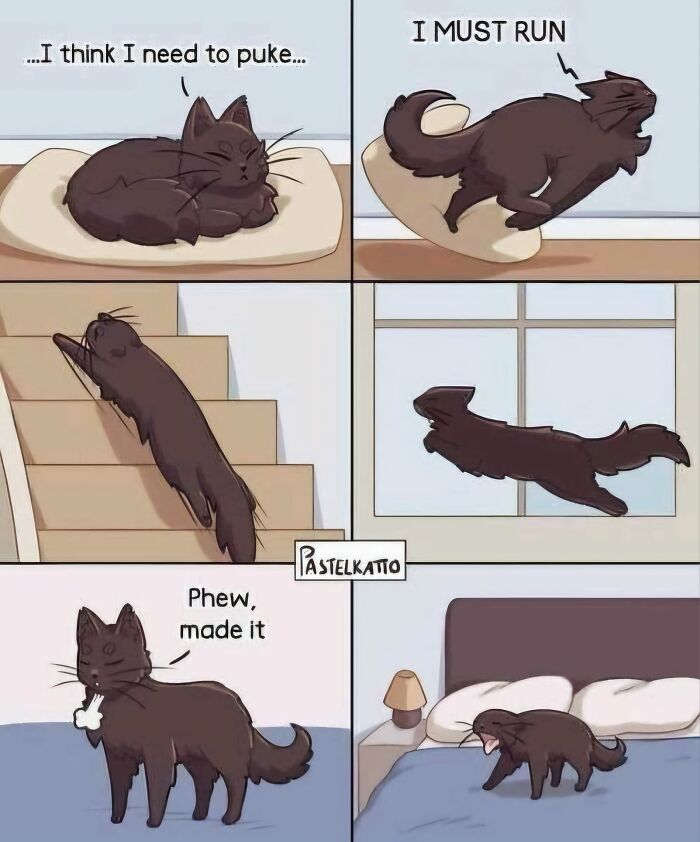 Comic of cat running to bed with typical feline attitude.