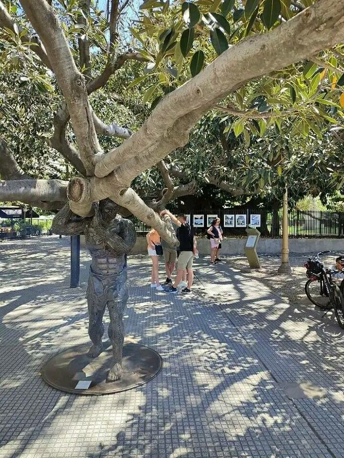 Este árbol de Buenos Aires es tan grande que un artista hizo una estatua para sostener una de sus enormes ramas.