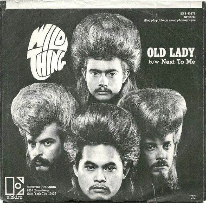 Wild Thing (1969) Llevan tanto producto en el pelo que no podían acercarse a menos de 6 metros de una llama 