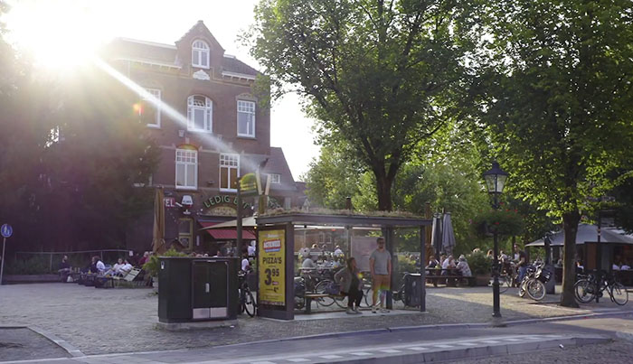 People Online Are Amazed By Dutch City That Recently Installed Over 300 Green-Roofed Bus Stops