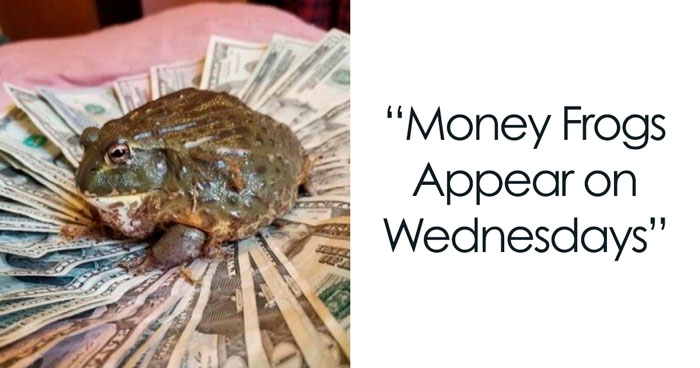 30 Wednesday Memes For A Midweek Mood Boost